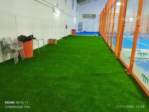 IMG_20241111_145932