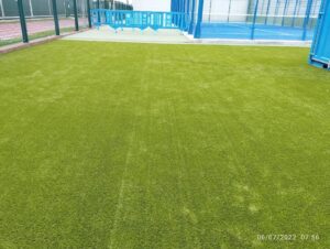 MANTENIMIENTO CESPED DECORATIVO