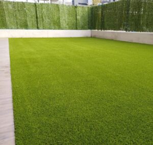 TERRAZA5